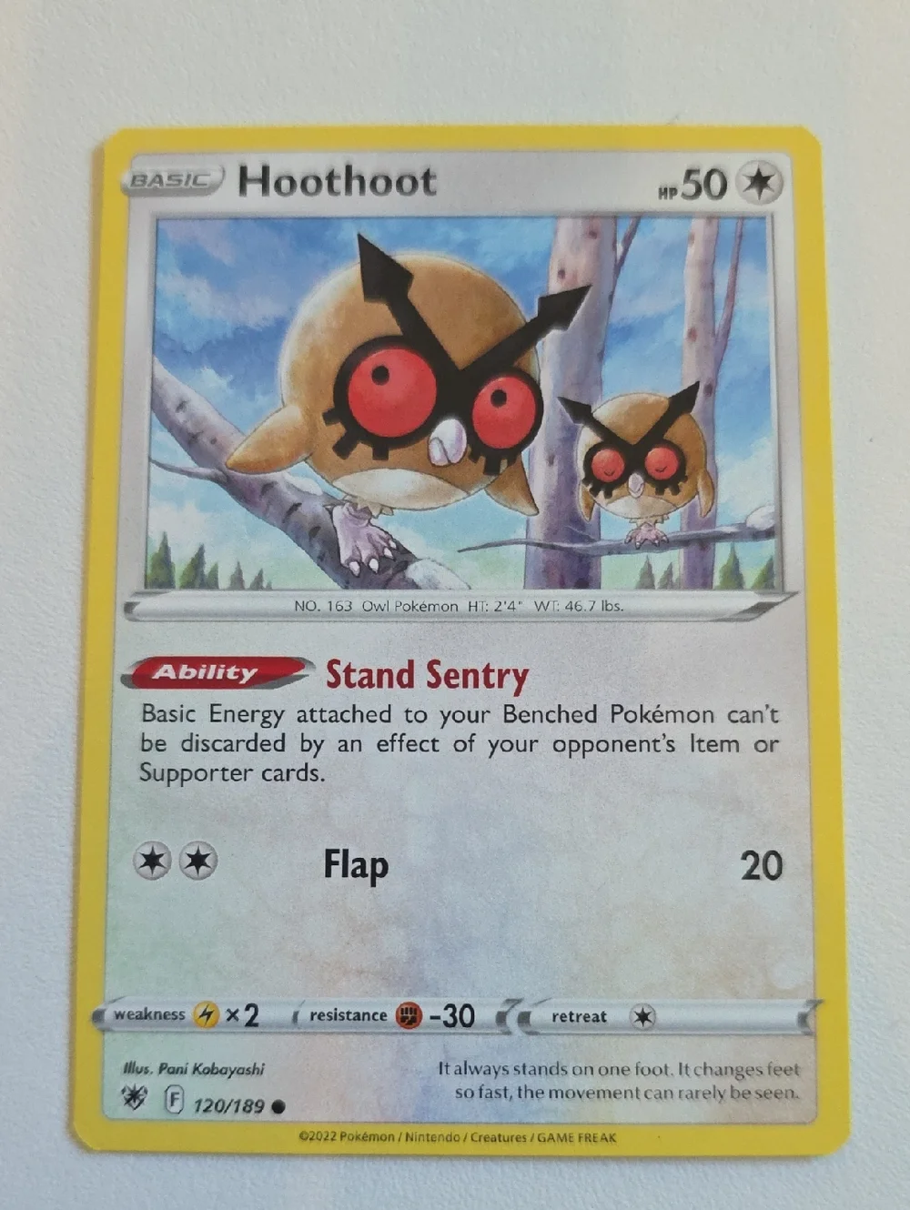 Pokemon Noctowl And Hoothoot Card Set